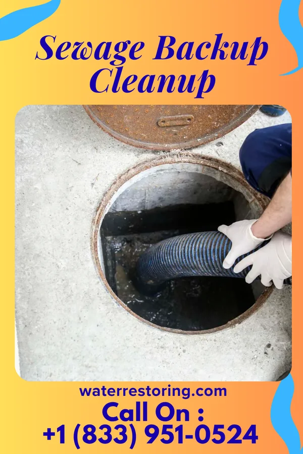 Sewage Backup Cleanup in Bluetown, TX