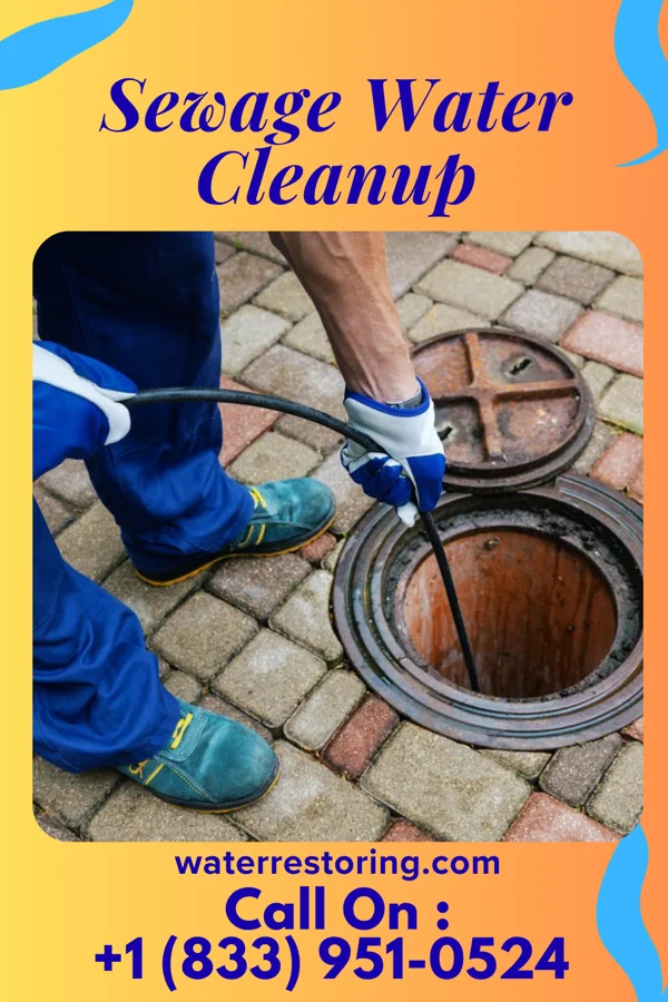Sewage Water Cleanup in Bluetown, TX