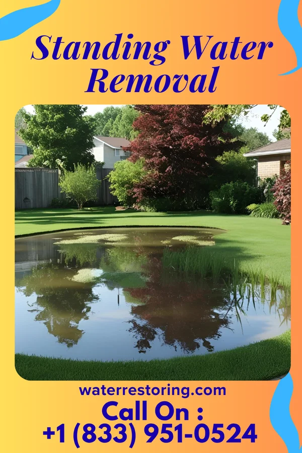 Standing Water Removal in Bluetown, TX